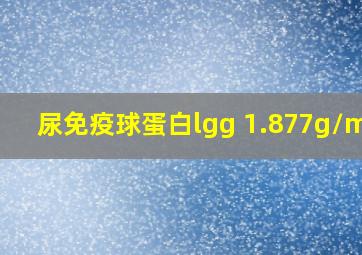 尿免疫球蛋白lgg 1.877g/mol